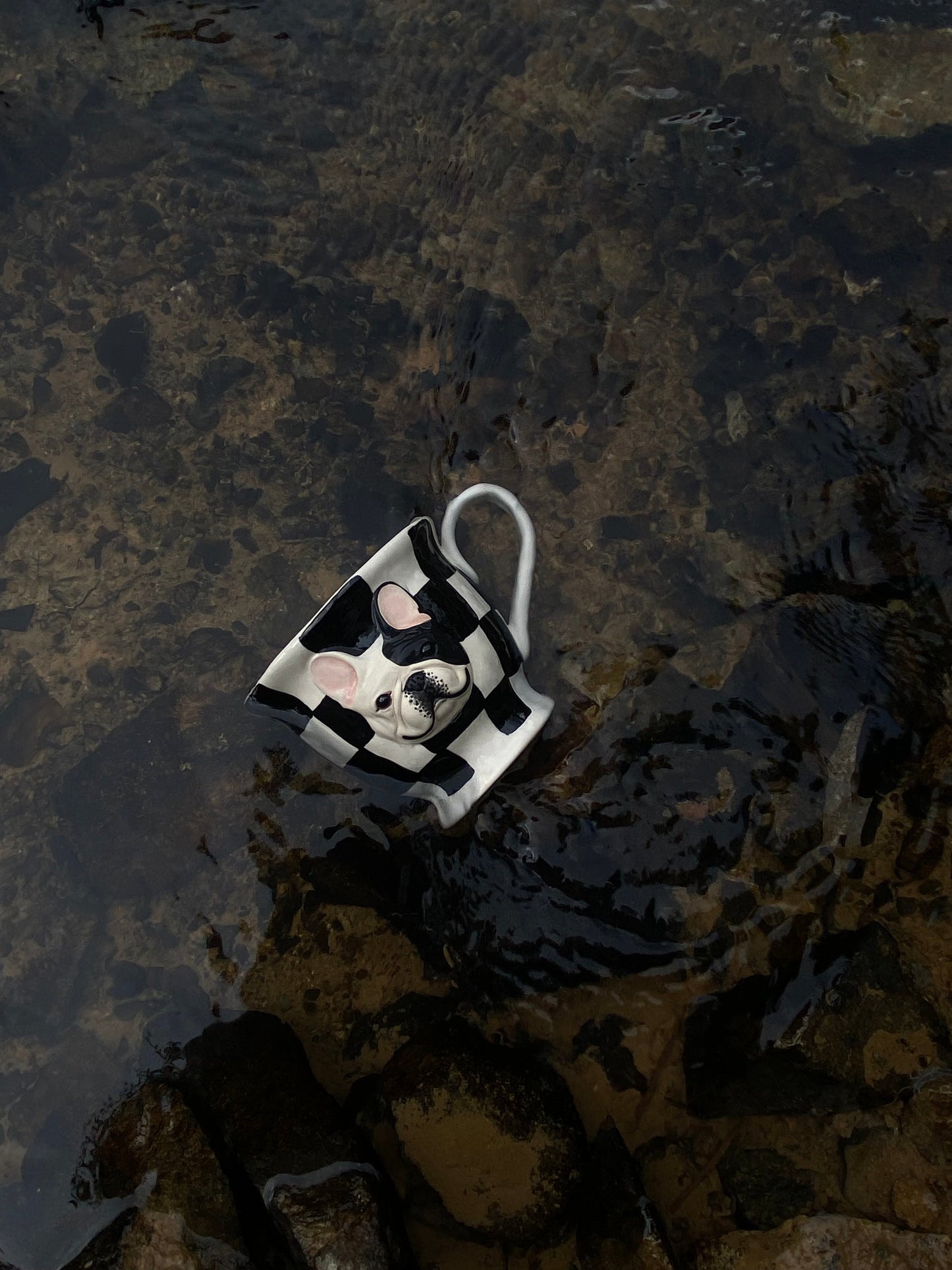 Black and White  Café Companion